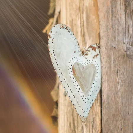 Appartement Vogelschar Urlaub Auf Dem Lebenshof