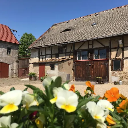 Vogelschar Urlaub Auf Dem Lebenshof Appartement