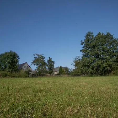 Vogelschar Urlaub Auf Dem Lebenshof * Kiebitz