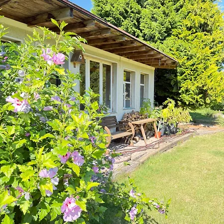Vogelschar Urlaub Auf Dem Lebenshof Apartment