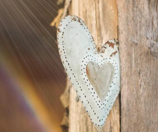 Апартаменты Vogelschar Urlaub Auf Dem Lebenshof