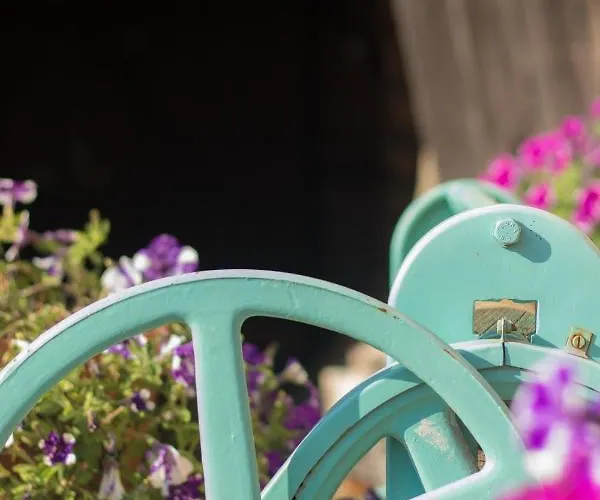 Vogelschar Urlaub Auf Dem Lebenshof Kiebitz