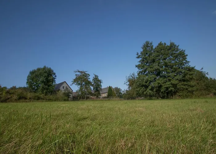 Vogelschar Urlaub Auf Dem Lebenshof * Kiebitz
