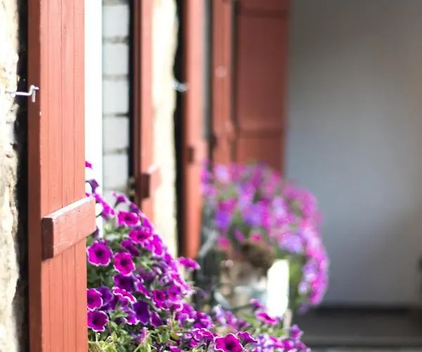 Vogelschar Urlaub Auf Dem Lebenshof *