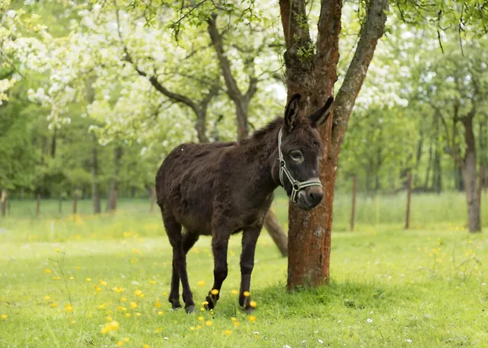 Апартаменты Vogelschar Urlaub Auf Dem Lebenshof *